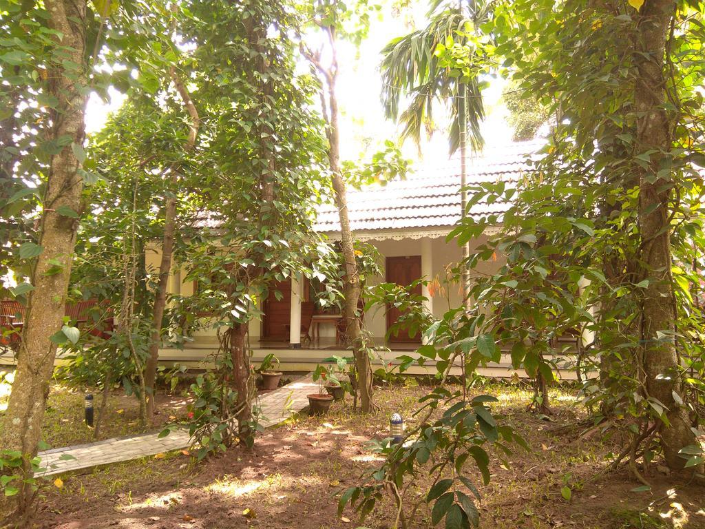 Green Court Cottage เทกคาดี ภายนอก รูปภาพ